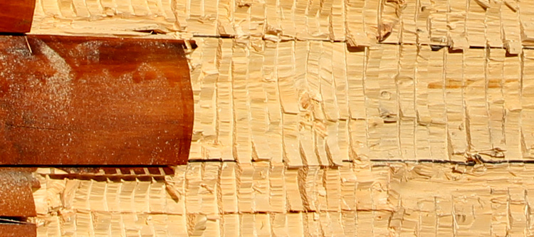 Log Home Face Restoration  Sumter County, Alabama