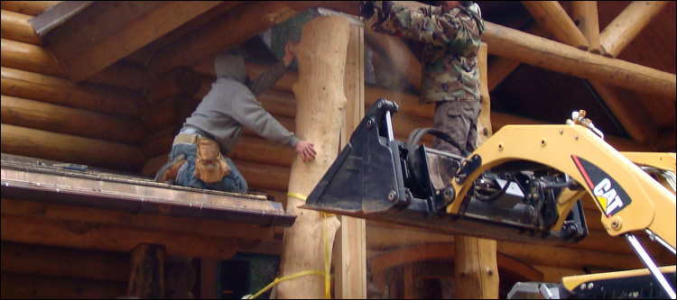 Log Home Log Replacement  Gainesville, Alabama